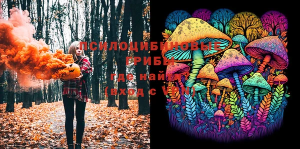 индика Пролетарск