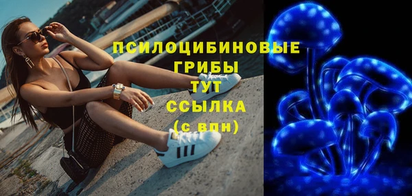 индика Пролетарск
