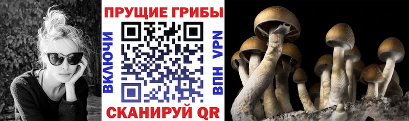 Галлюциногенные грибы MAGIC MUSHROOMS  блэк спрут сайт  Слюдянка 